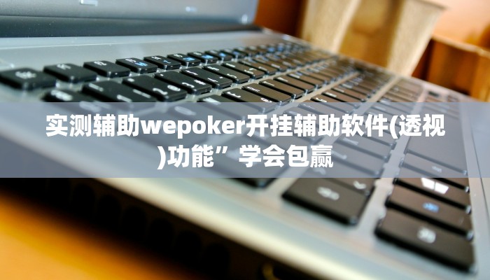 辅助神器wepoker轻量版透视挂(详细开挂教程