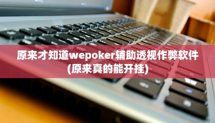 原来才知道wepoker辅助透视作弊软件(原来真的能开挂)