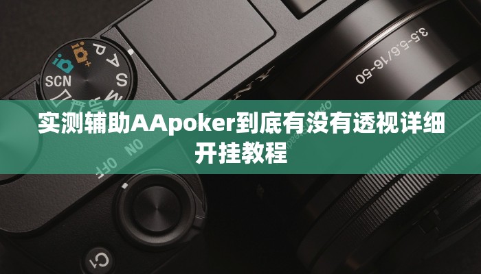 实测辅助AApoker到底有没有透视详细开挂教程