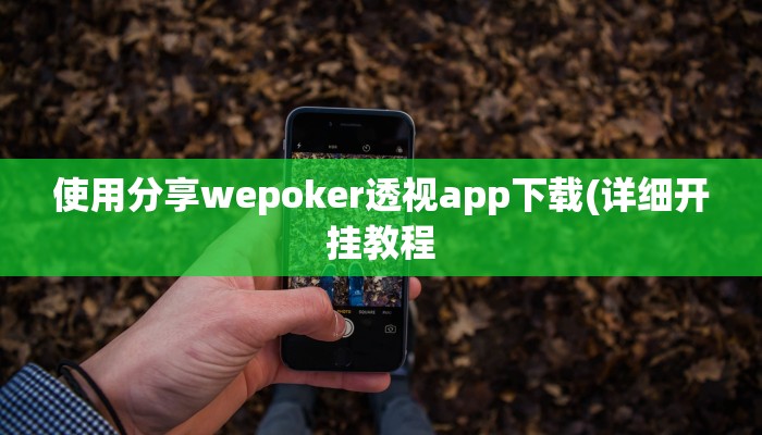 使用分享wepoker透视app下载(详细开挂教程