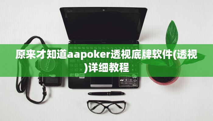 原来才知道aapoker透视底牌软件(透视)详细教程