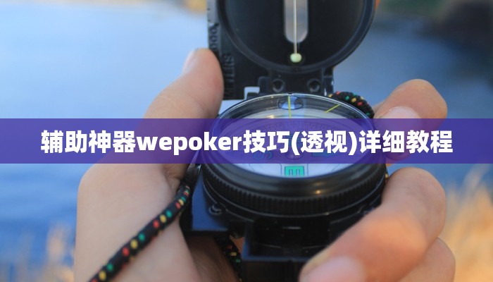 辅助神器wepoker技巧(透视)详细教程