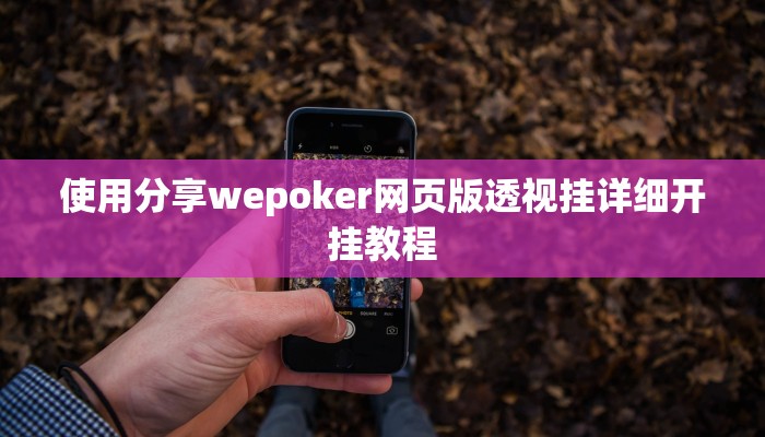 使用分享wepoker透视开挂(详细开挂教程