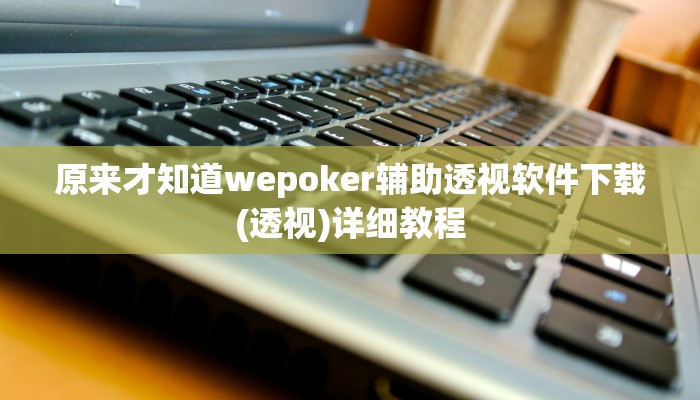 原来才知道wepoker辅助透视软件下载(透视)详细教程