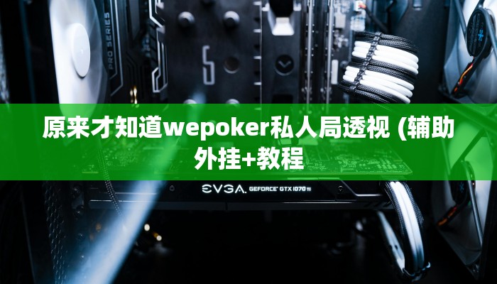 原来才知道wepoker私人局透视 (辅助外挂+教程