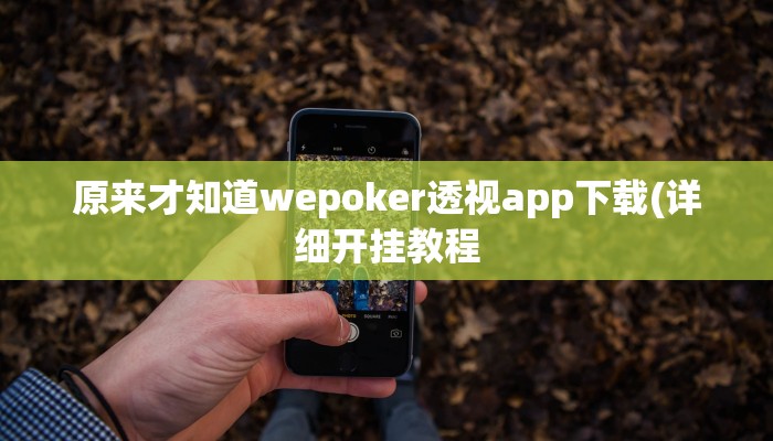玩家秒懂“旺旺南平麻将辅助开挂工具”原来确实有挂!