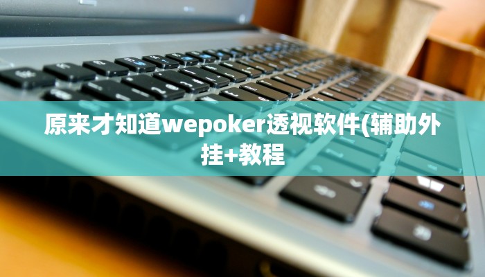 辅助神器“乐驿茶坊是怎么开挂的”其实确实有挂