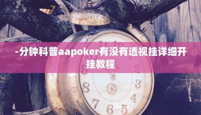 -分钟科普aapoker有没有透视挂详细开挂教程