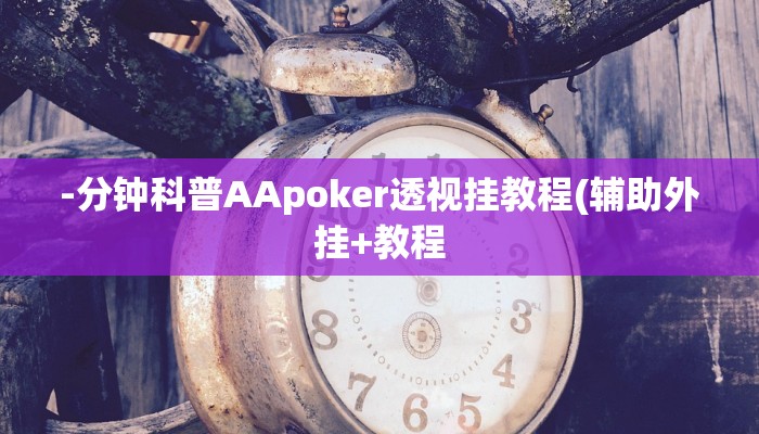 开挂技巧“经典十三水确实能装挂”详细外挂安装步骤 