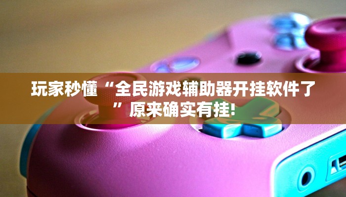 玩家秒懂“全民游戏辅助器开挂软件了”原来确实有挂!