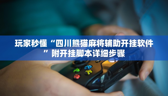 玩家秒懂“四川熊猫麻将辅助开挂软件”附开挂脚本详细步骤