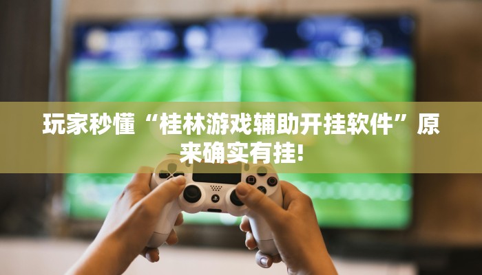 玩家秒懂“桂林游戏辅助开挂软件”原来确实有挂!