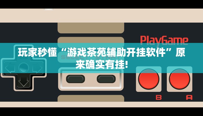 玩家秒懂“游戏茶苑辅助开挂软件”原来确实有挂!