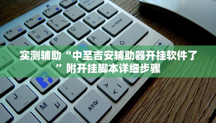 实测辅助“中至吉安辅助器开挂软件了”附开挂脚本详细步骤