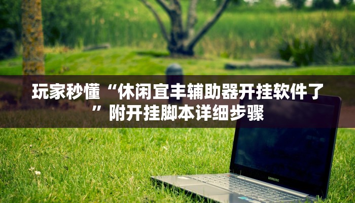 玩家秒懂“休闲宜丰辅助器开挂软件了”附开挂脚本详细步骤