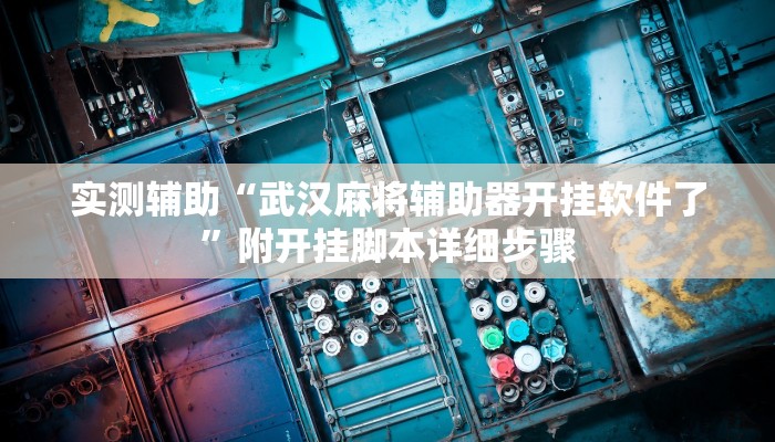 实测辅助“武汉麻将辅助器开挂软件了”附开挂脚本详细步骤