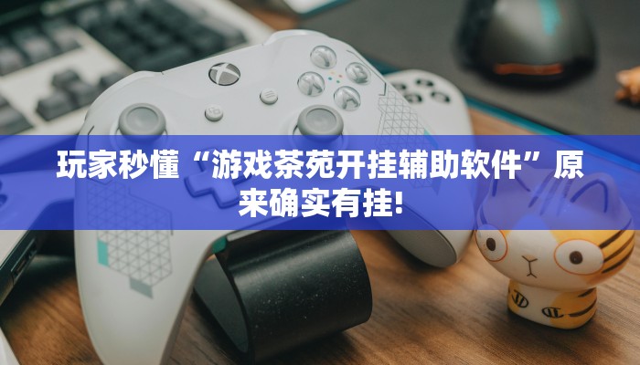 玩家秒懂“游戏茶苑开挂辅助软件”原来确实有挂!