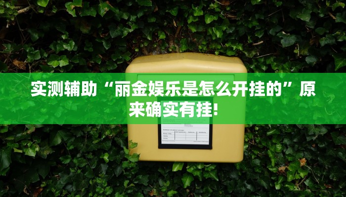 实测辅助“丽金娱乐是怎么开挂的”原来确实有挂!