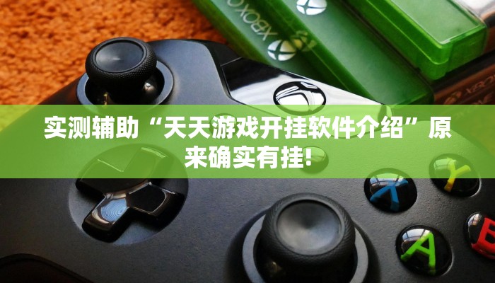 实测辅助“天天游戏开挂软件介绍”原来确实有挂!