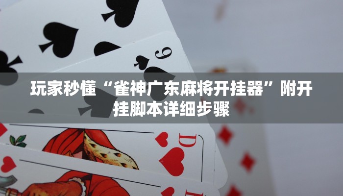 玩家秒懂“雀神广东麻将开挂器”附开挂脚本详细步骤
