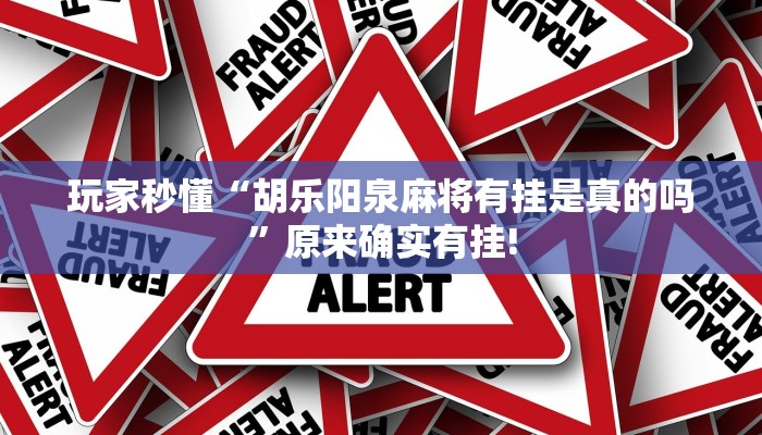 玩家秒懂“胡乐阳泉麻将有挂是真的吗”原来确实有挂!