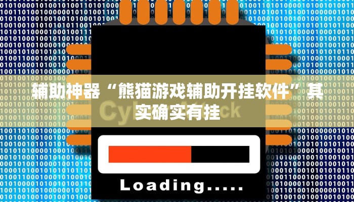 辅助神器“熊猫游戏辅助开挂软件”其实确实有挂