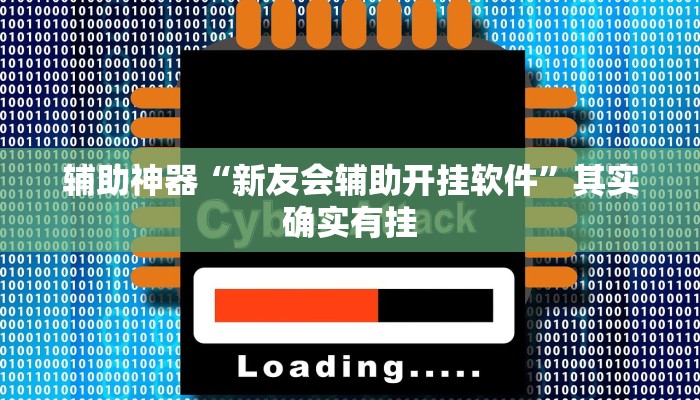 辅助神器“新友会辅助开挂软件”其实确实有挂