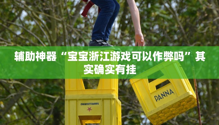 辅助神器“宝宝浙江游戏可以作弊吗”其实确实有挂