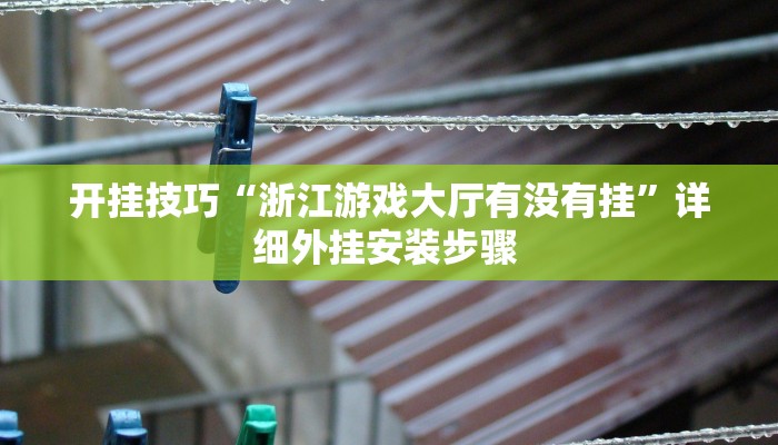 开挂技巧“浙江游戏大厅有没有挂”详细外挂安装步骤 
