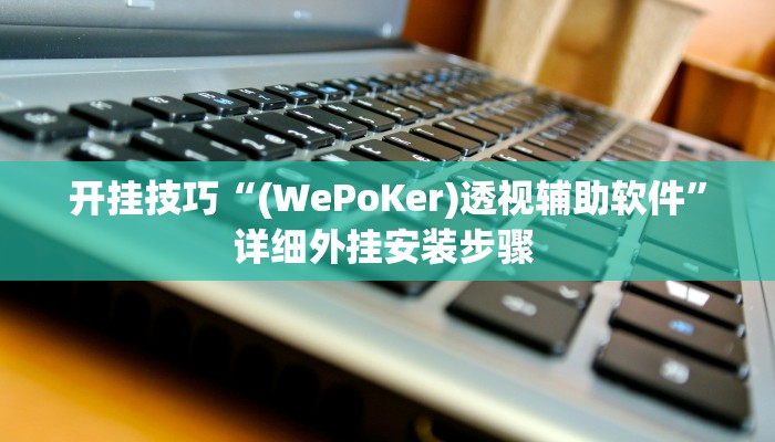 开挂技巧“(WePoKer)透视辅助软件”详细外挂安装步骤 