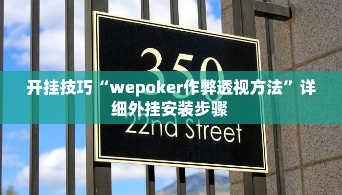 开挂技巧“wepoker作弊透视方法”详细外挂安装步骤 