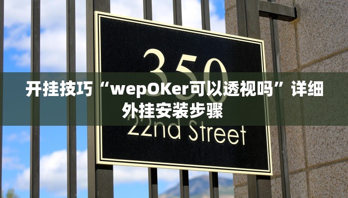 开挂技巧“wepOKer可以透视吗”详细外挂安装步骤 