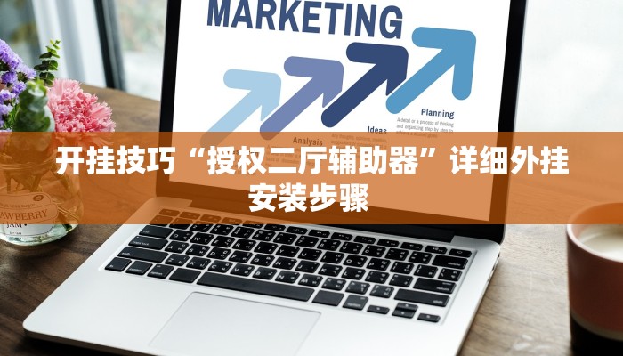 开挂技巧“授权二厅辅助器”详细外挂安装步骤 