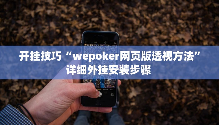 开挂技巧“wepoker网页版透视方法”详细外挂安装步骤 