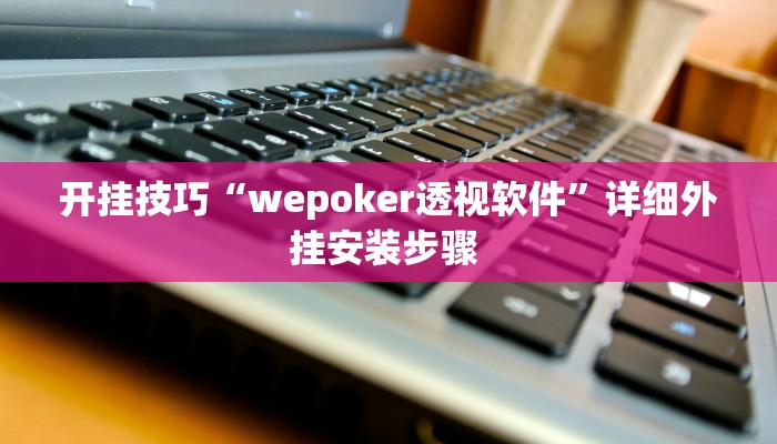 开挂技巧“wepoker透视软件”详细外挂安装步骤 
