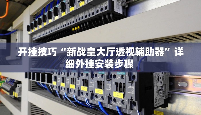 开挂技巧“新战皇大厅透视辅助器”详细外挂安装步骤 