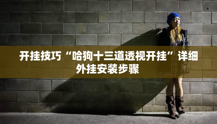 开挂技巧“哈狗十三道透视开挂”详细外挂安装步骤 