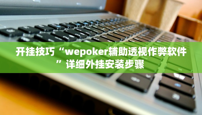 开挂技巧“wepoker辅助透视作弊软件”详细外挂安装步骤 
