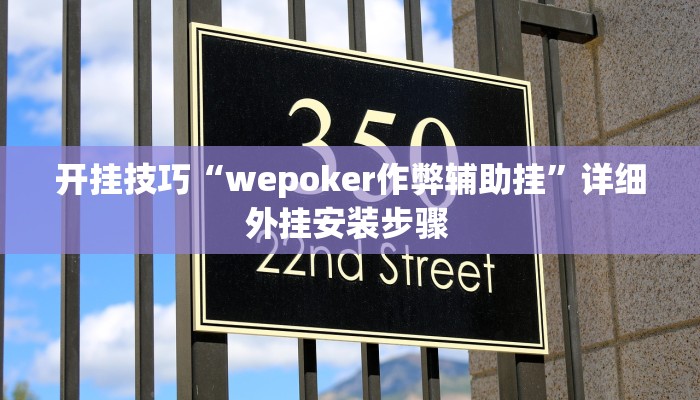 开挂技巧“wepoker作弊辅助挂”详细外挂安装步骤 
