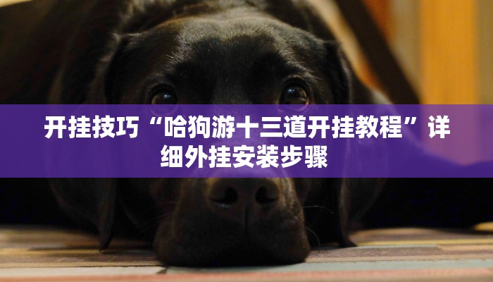 实测教程”佳友互娱开挂教程”开挂详细教程 实测教程”佳友互娱开挂教程”开挂详细教程