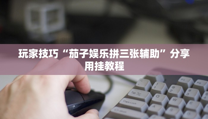玩家技巧“茄子娱乐拼三张辅助”分享用挂教程 玩家技巧“茄子娱乐拼三张辅助”分享用挂教程
