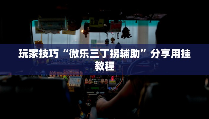 玩家技巧“微乐三丁拐辅助”分享用挂教程 玩家技巧“微乐三丁拐辅助”分享用挂教程