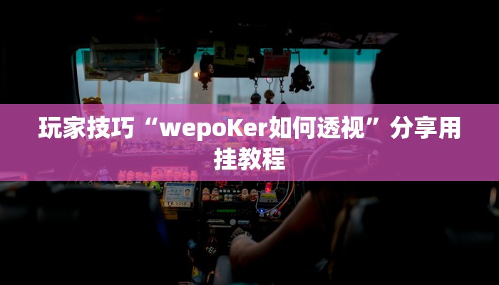玩家技巧“wepoKer如何透视”分享用挂教程 玩家技巧“wepoKer如何透视”分享用挂教程