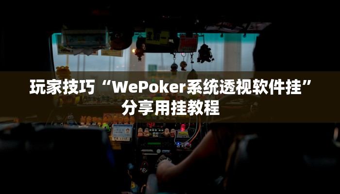 玩家技巧“WePoker系统透视软件挂”分享用挂教程