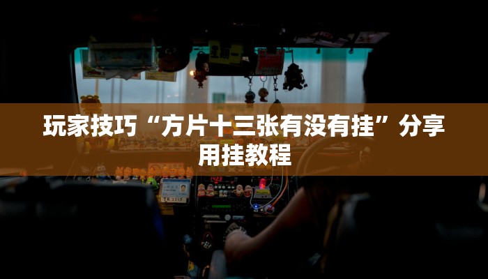 玩家技巧“方片十三张有没有挂”分享用挂教程 玩家技巧“方片十三张有没有挂”分享用挂教程
