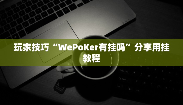 玩家技巧“WePoKer有挂吗”分享用挂教程 玩家技巧“WePoKer有挂吗”分享用挂教程