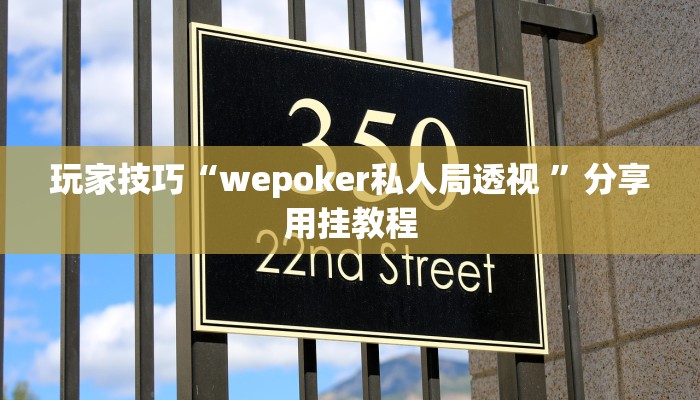 玩家技巧“wepoker私人局透视 ”分享用挂教程 玩家技巧“wepoker私人局透视 ”分享用挂教程
