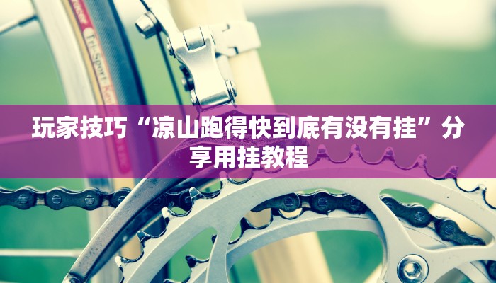 玩家技巧“凉山跑得快到底有没有挂”分享用挂教程 玩家技巧“凉山跑得快到底有没有挂”分享用挂教程