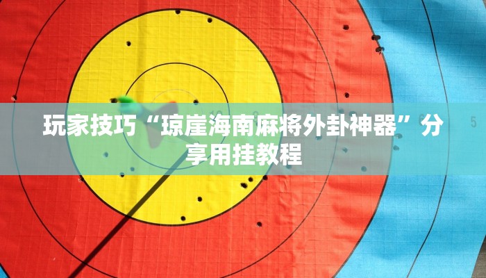 玩家技巧“琼崖海南麻将外卦神器”分享用挂教程 玩家技巧“琼崖海南麻将外卦神器”分享用挂教程