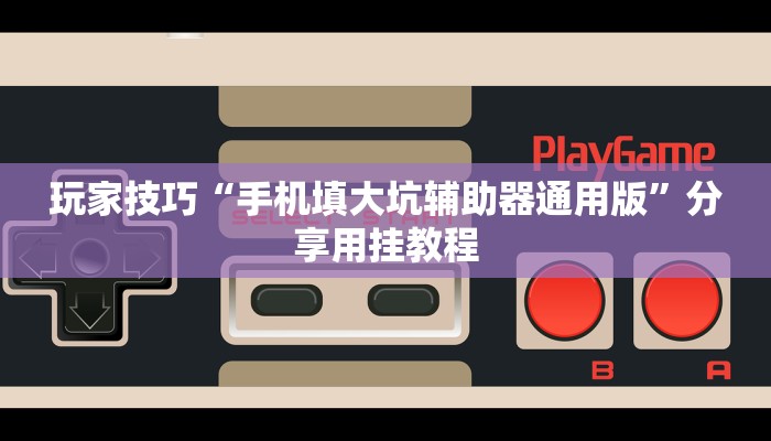 玩家技巧“手机填大坑辅助器通用版”分享用挂教程 玩家技巧“手机填大坑辅助器通用版”分享用挂教程